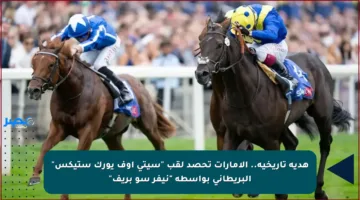 هدية تاريخية.. الإمارات تحصد لقب “سيتي أوف يورك ستيكس” البريطاني بواسطة “نيفر سو بريف”